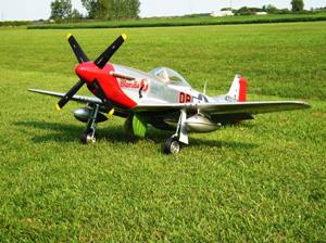 5 A good photo of Blondie