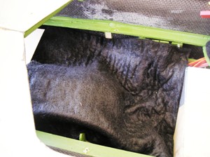 8 Fuel tank, receiver & battery covered with Oatey heat protector